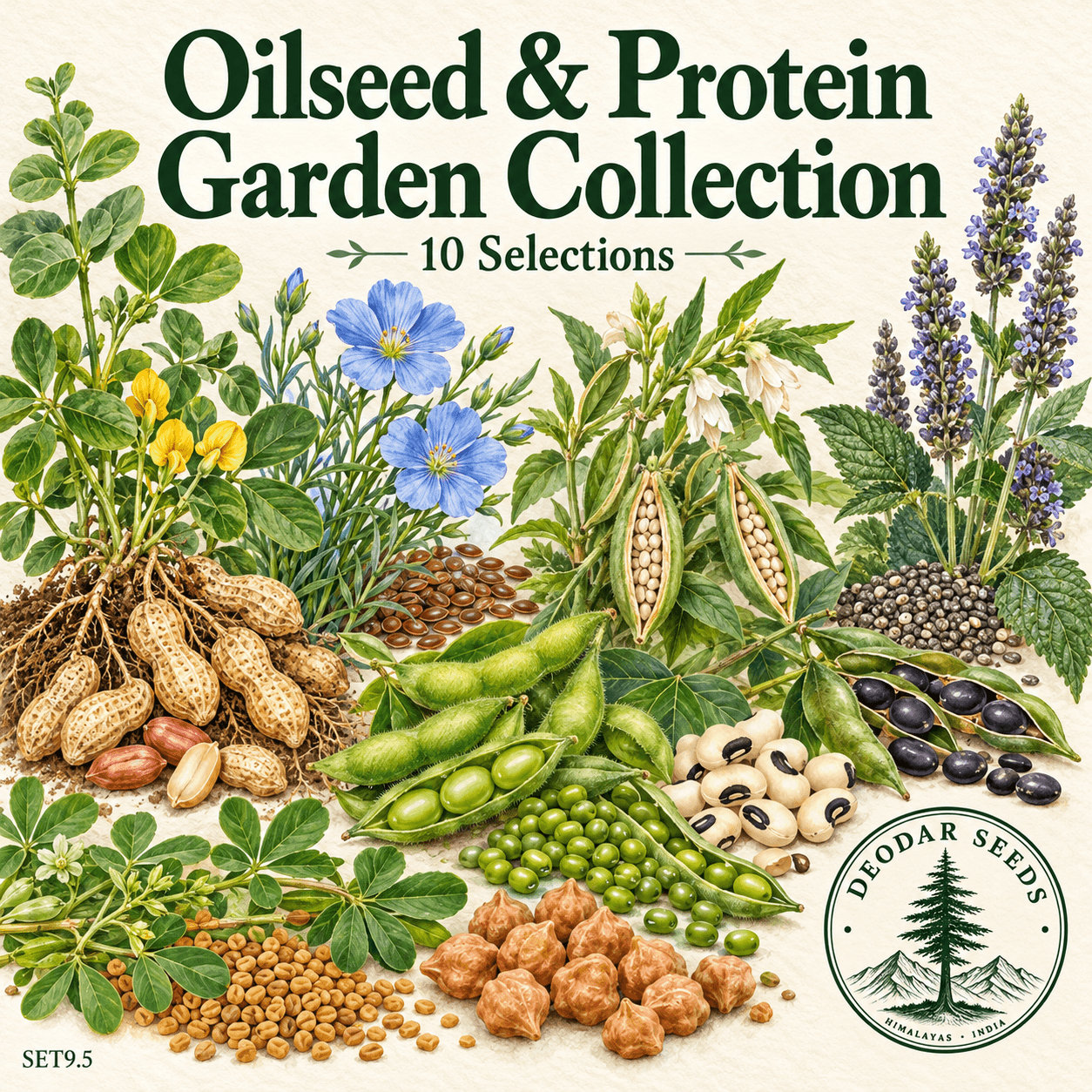 Oilseed & Protein Garden Collection — 10 Seed Selections