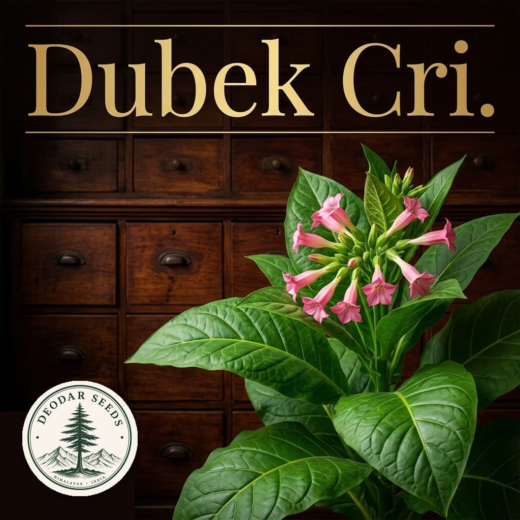 Dubek Cri. Nicotiana Seeds — AI-generated kit illustration