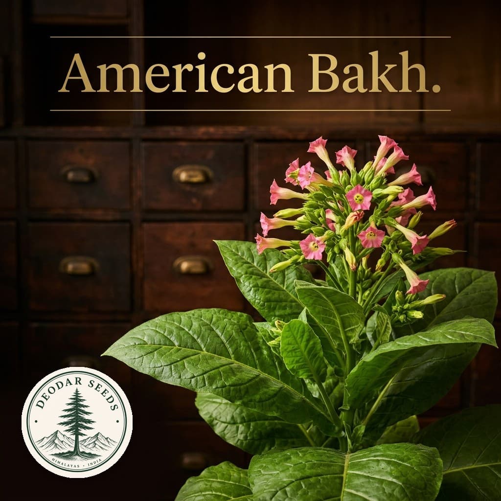 American Bakh. Nicotiana Seeds — AI-generated kit illustration