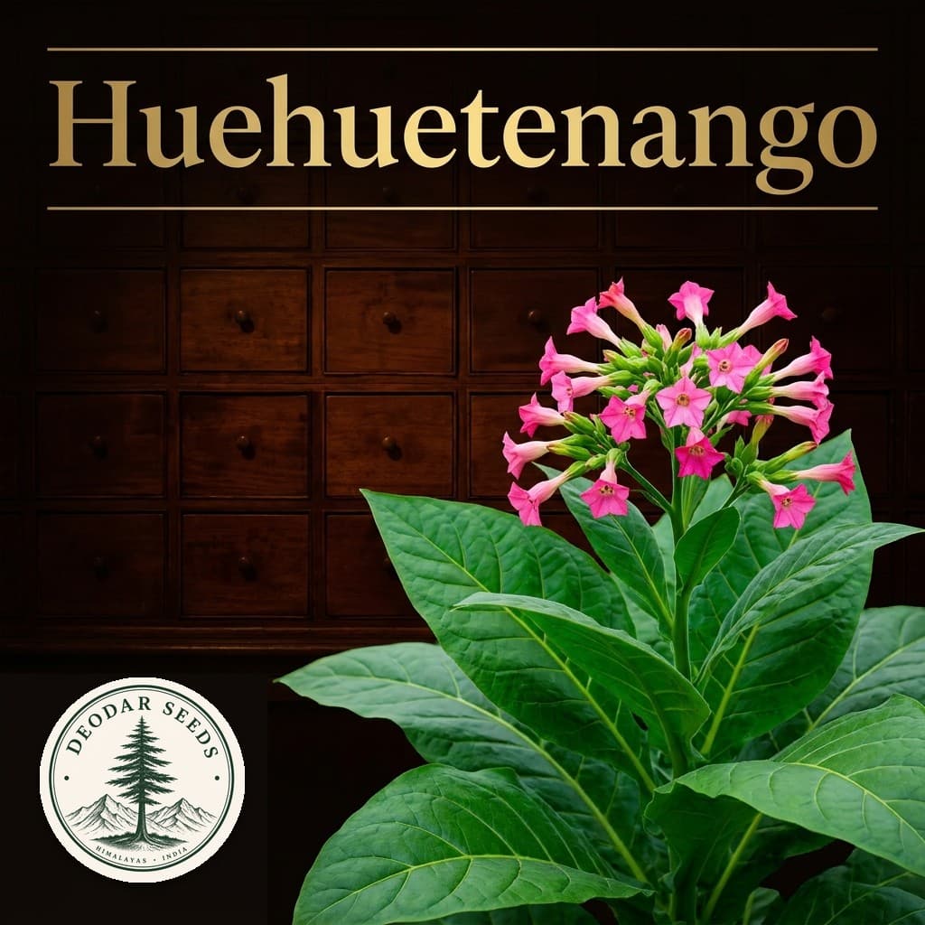Huehuetenango Nicotiana Seeds — AI-generated kit illustration