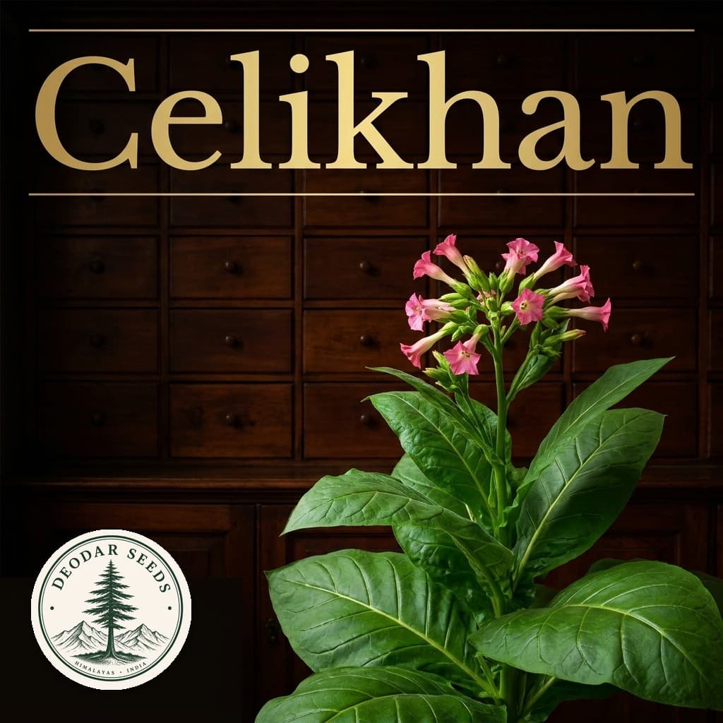 Celikhan Nicotiana Seeds — AI-generated kit illustration