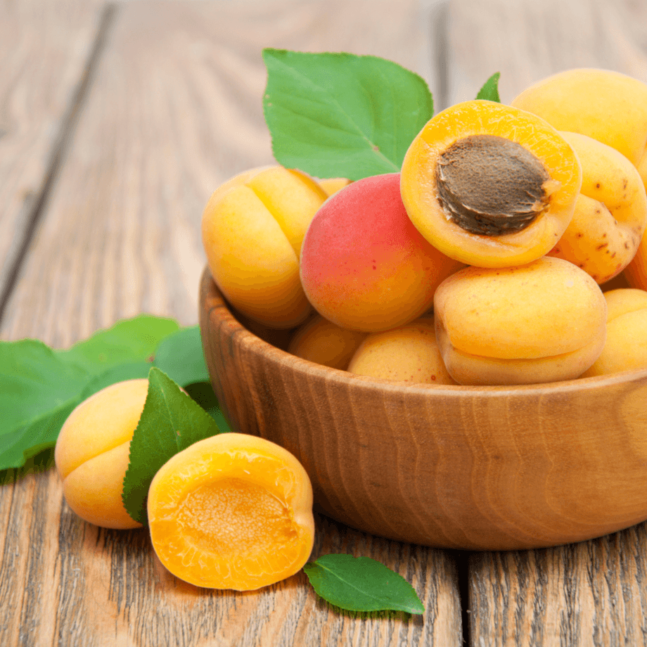 Apricot seeds growing guide