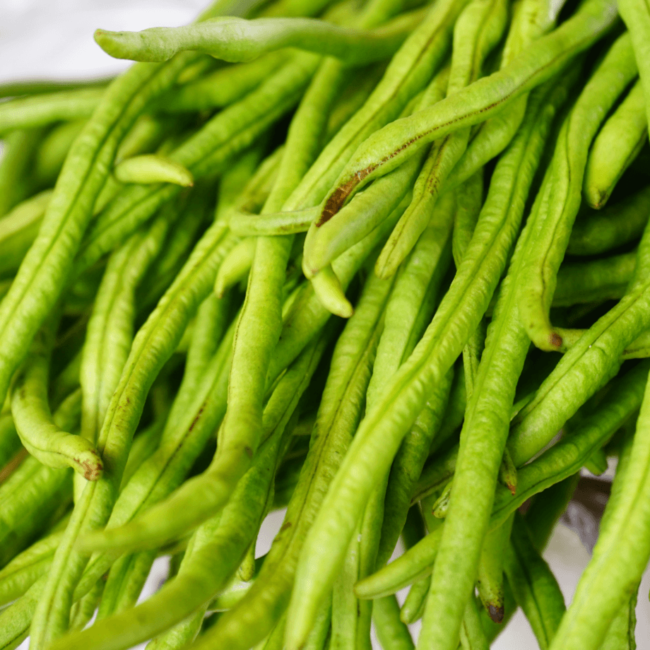 Guar seeds growing guide