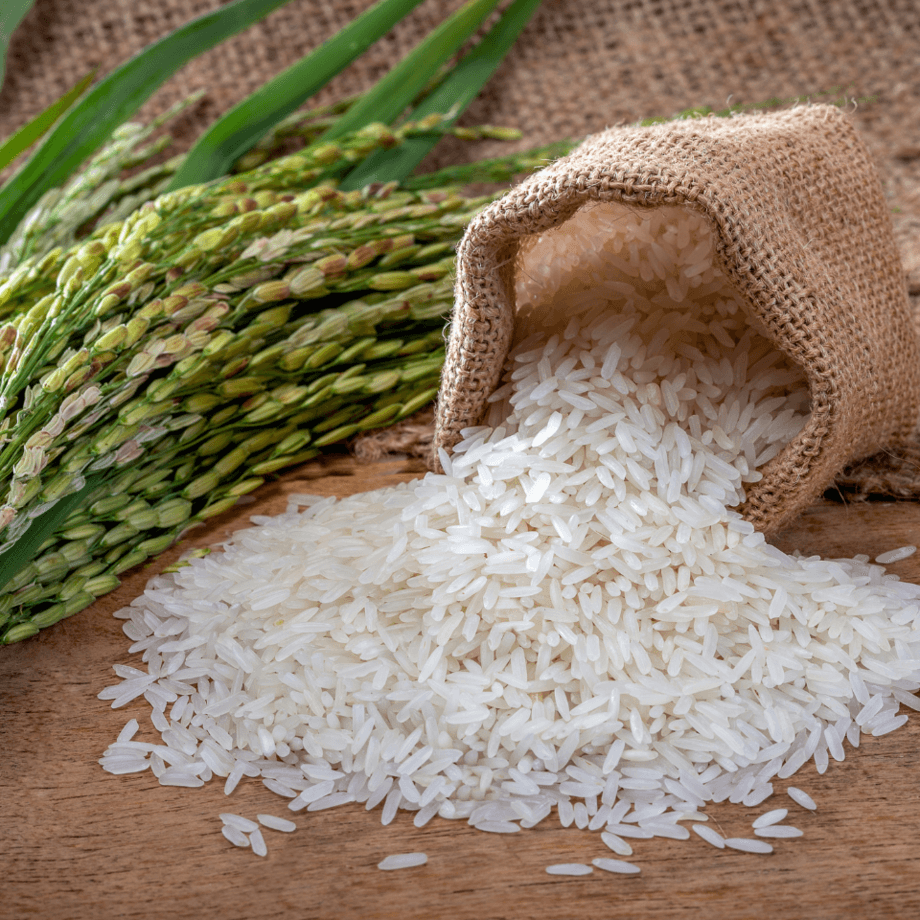 Rice seeds growing guide
