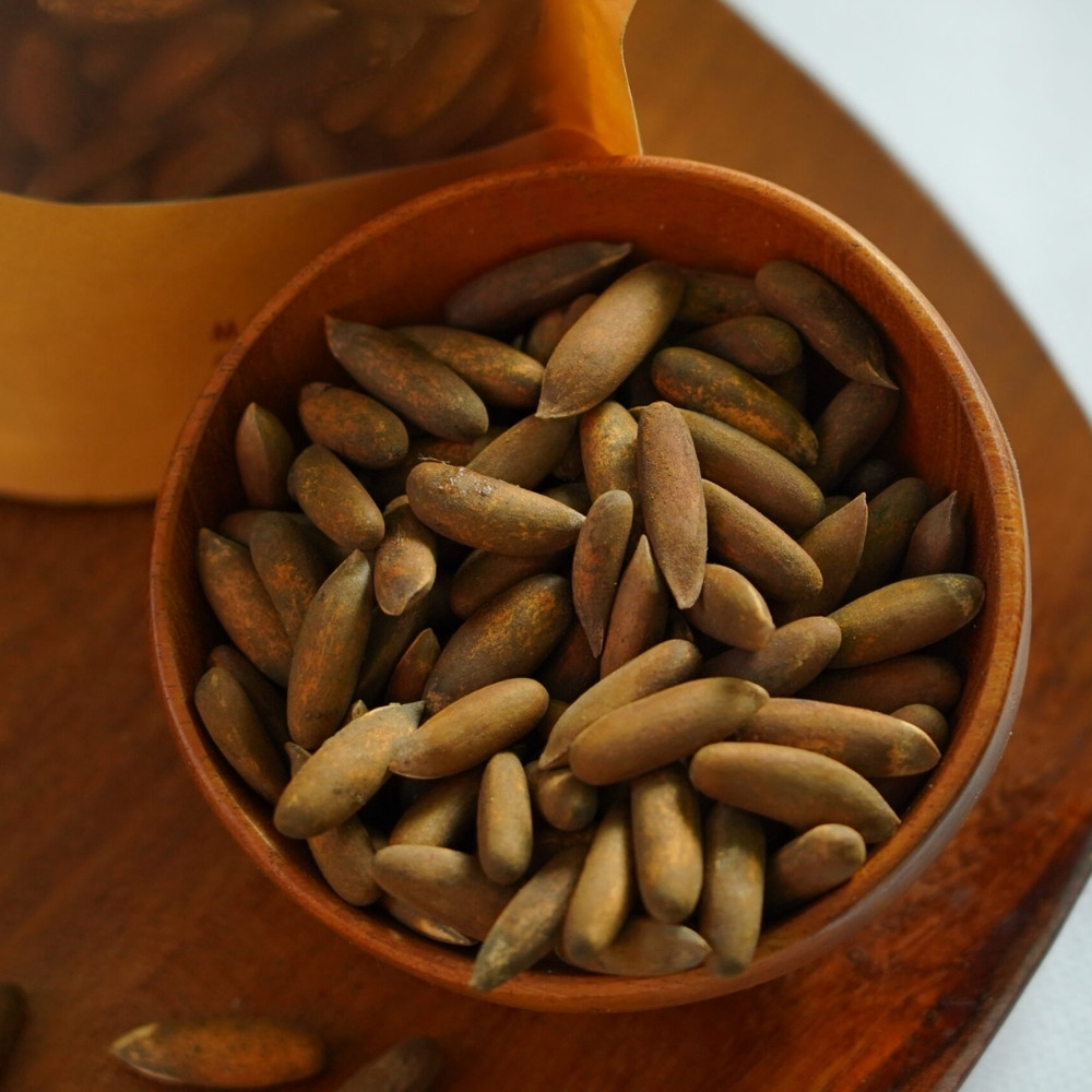 Pinus gerardiana seeds, Chilgoza Pine, Gerard’s Pine, Pine Nuts Tree - 30