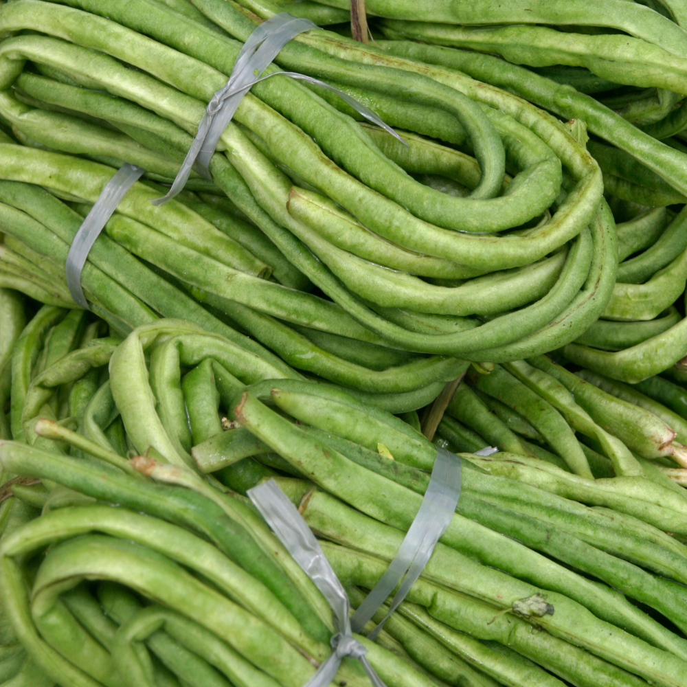 Singra (Mongra), Raphanus sativus seeds - 20