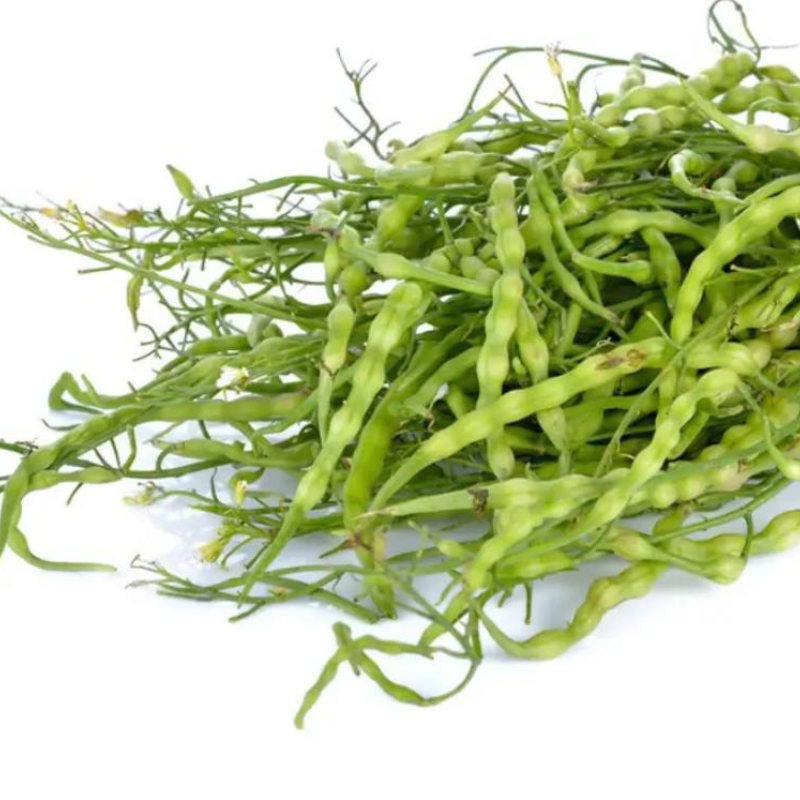 Singra (Mongra), Raphanus sativus seeds - 20