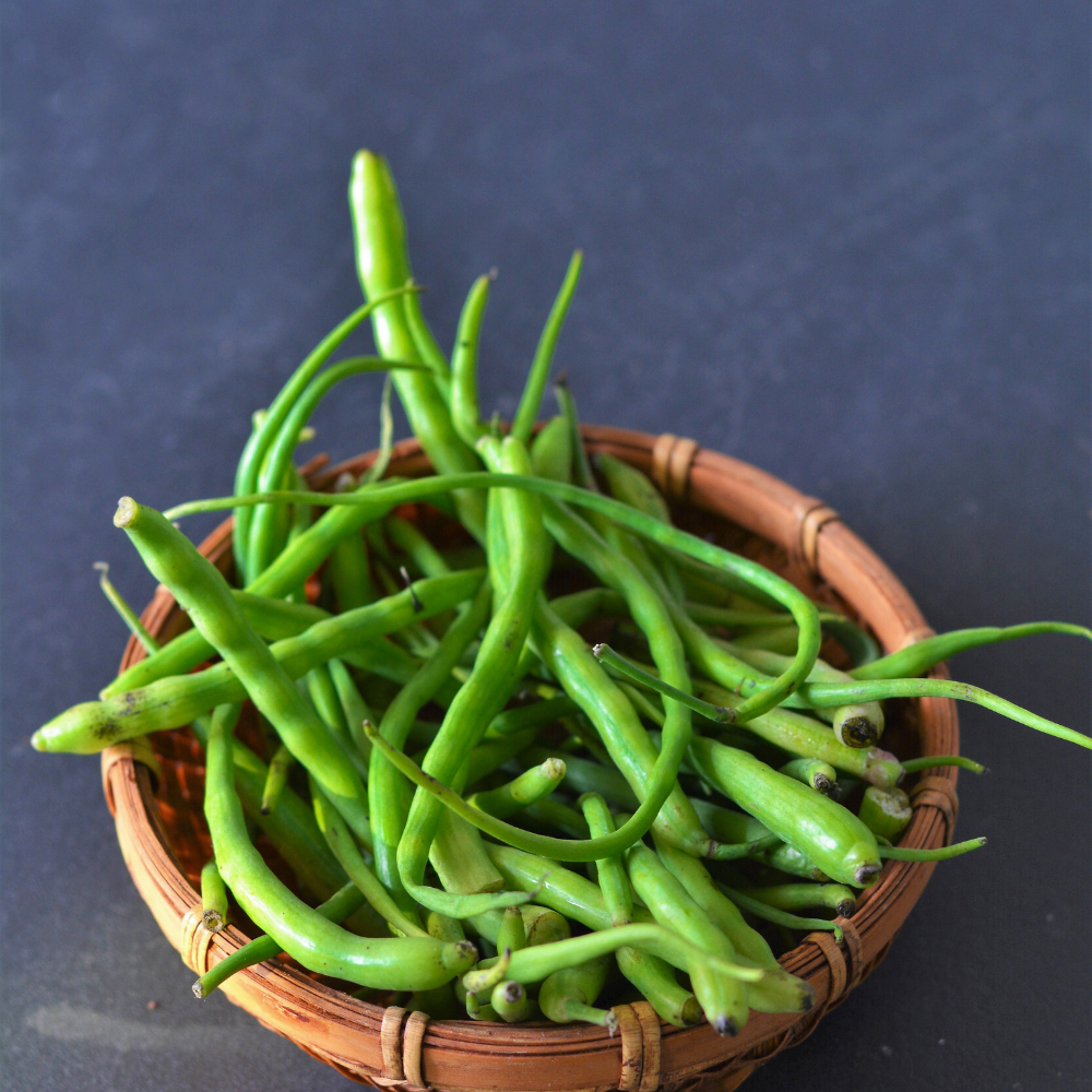 Singra (Mongra), Raphanus sativus seeds - 20