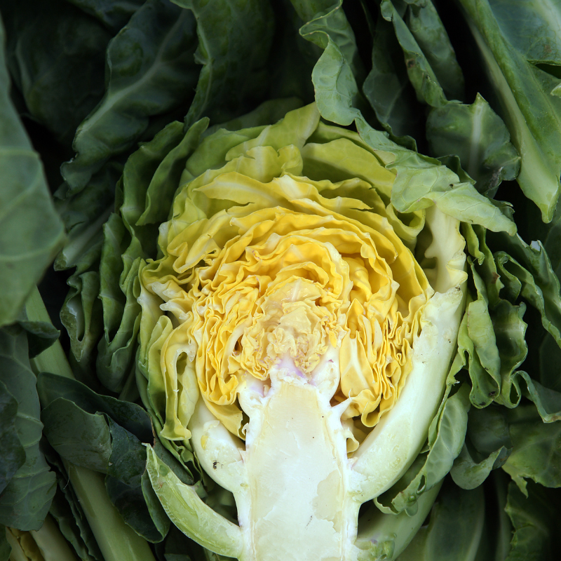 Cabbage Golden Cross seeds - 30