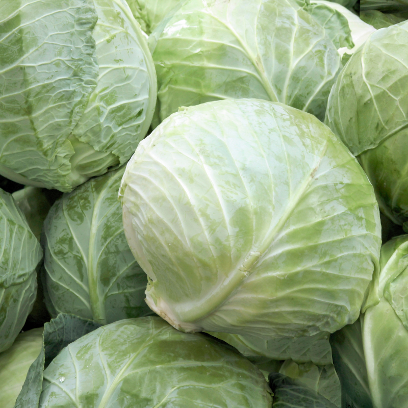 Cabbage Golden Cross seeds - 30