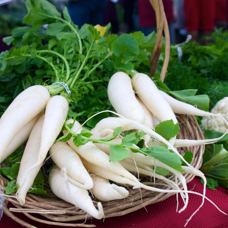 White Radish (Daikon Radish) seeds - 30