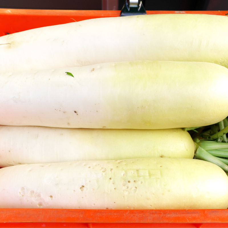 White Radish (Daikon Radish) seeds - 30