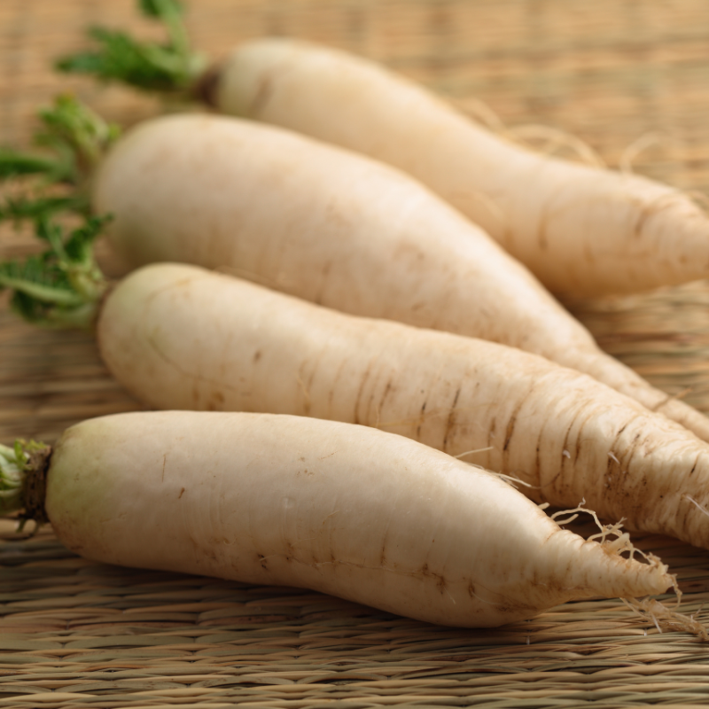 White Radish (Daikon Radish) seeds - 30
