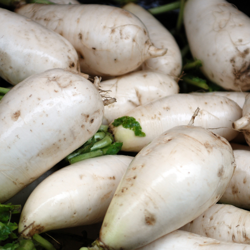 White Radish (Daikon Radish) seeds - 30