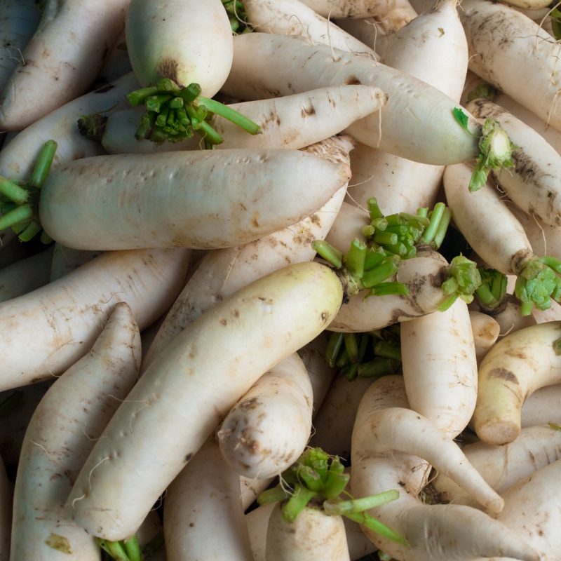 White Radish (Daikon Radish) seeds - 30
