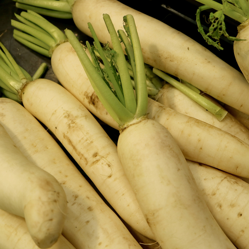 White Radish (Daikon Radish) seeds - 30