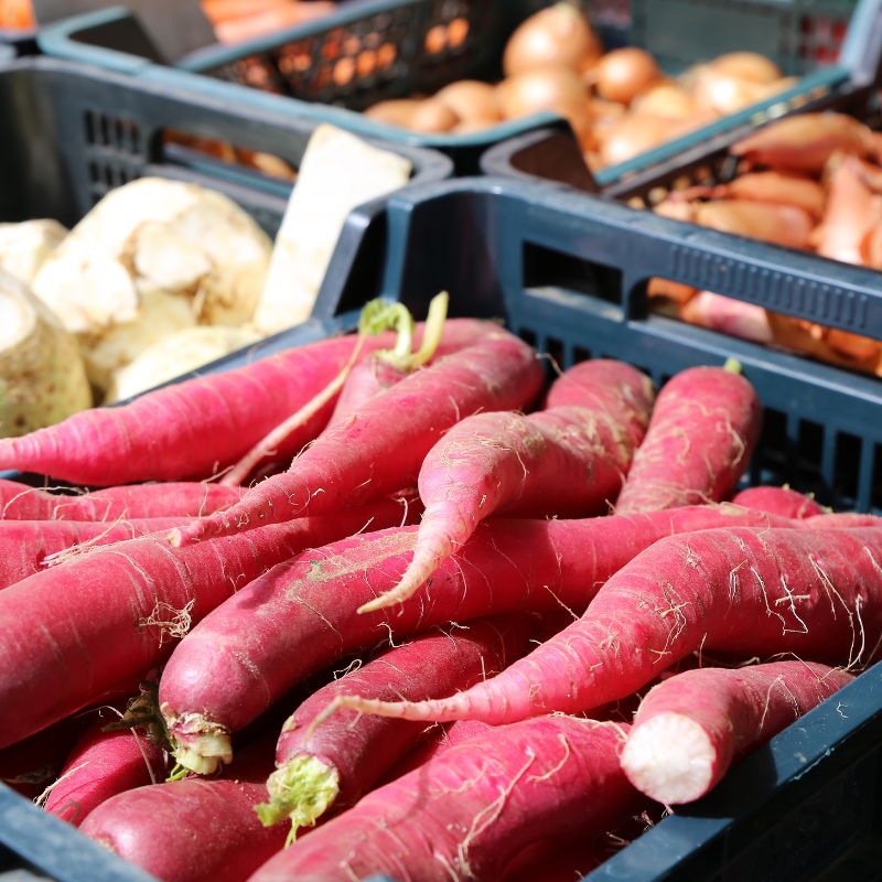 Radish Full Red (Mooli) seeds - 30