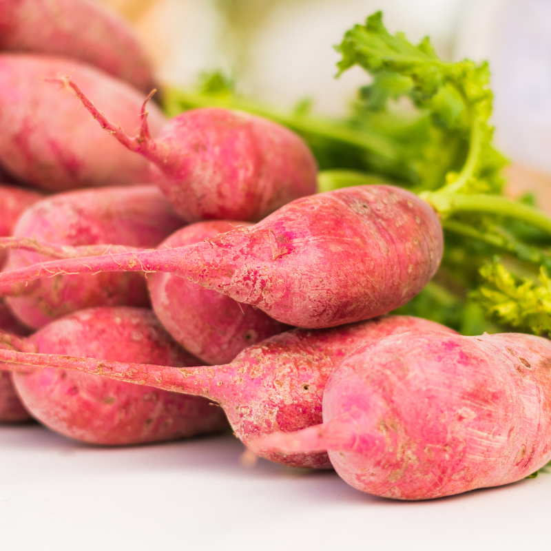 Radish Full Red (Mooli) seeds - 30