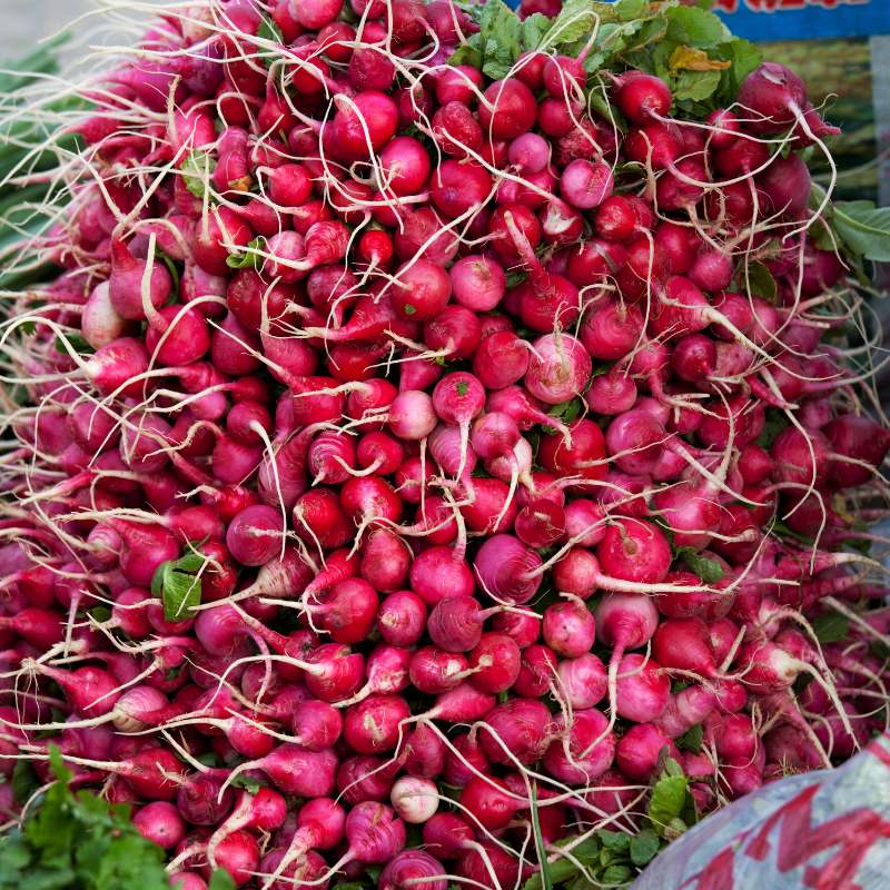 Radish bombay red seeds - 30