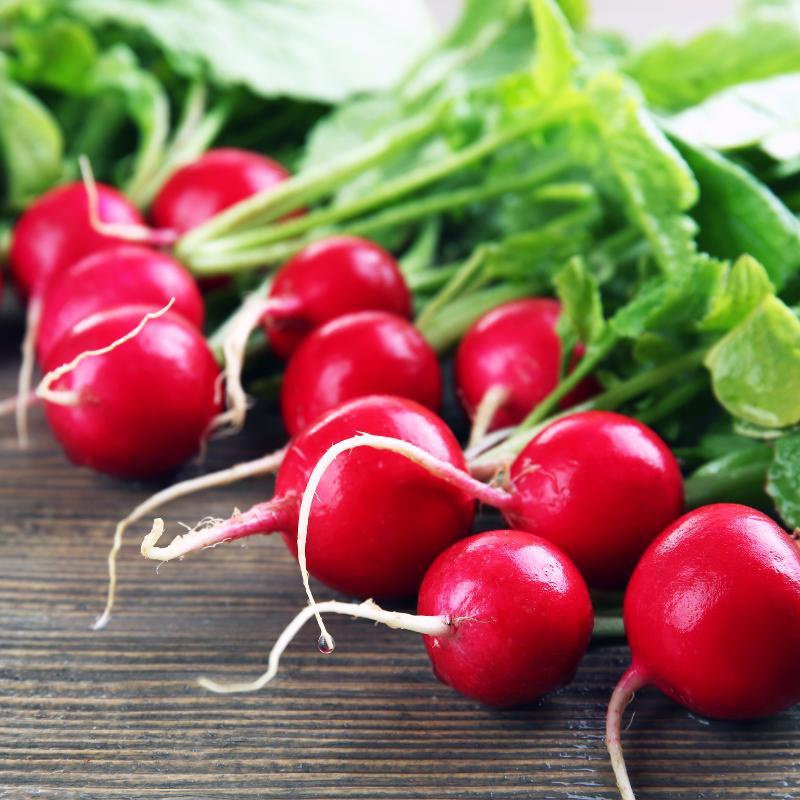 Radish bombay red seeds - 30