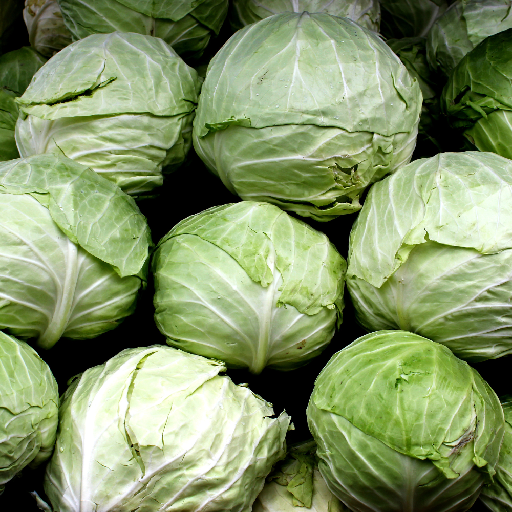 Cabbage Express seeds - 30