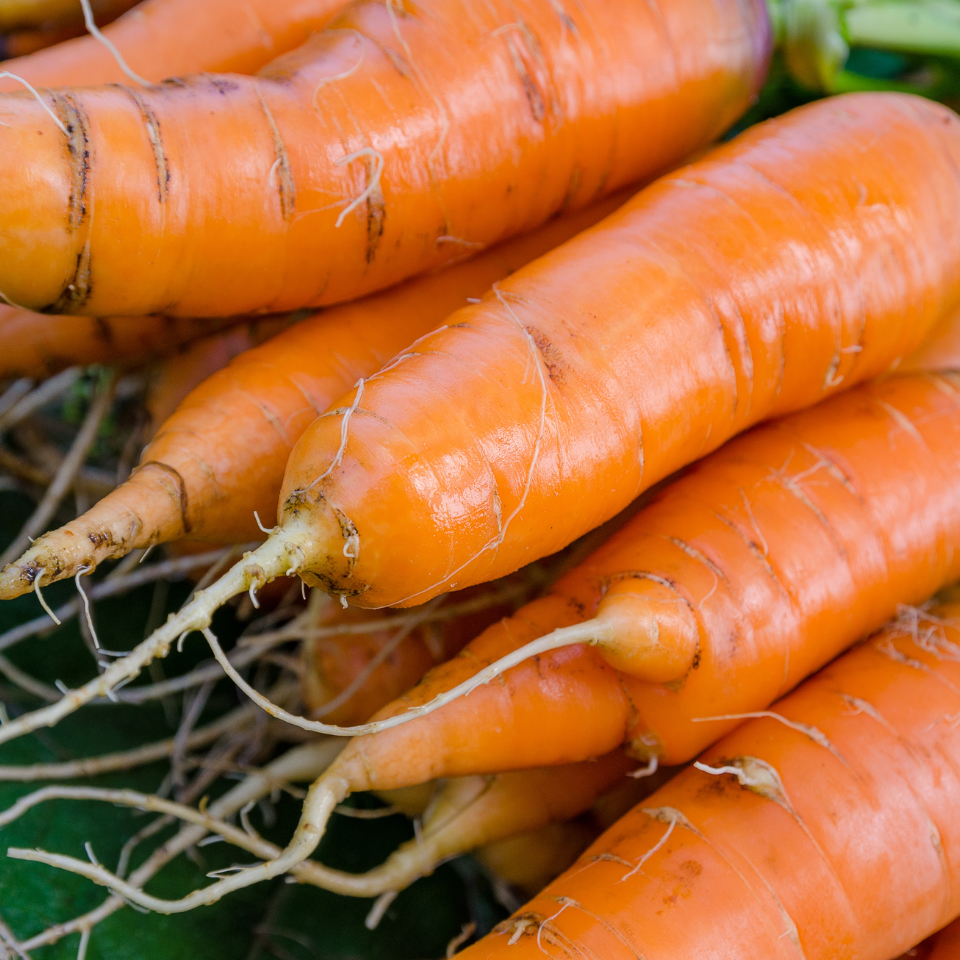 Carrot Vitamin seeds - 30