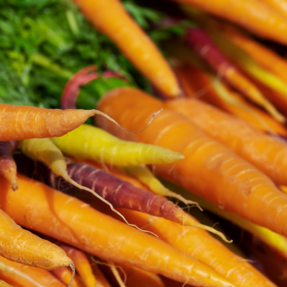 Carrot Vitamin seeds - 30