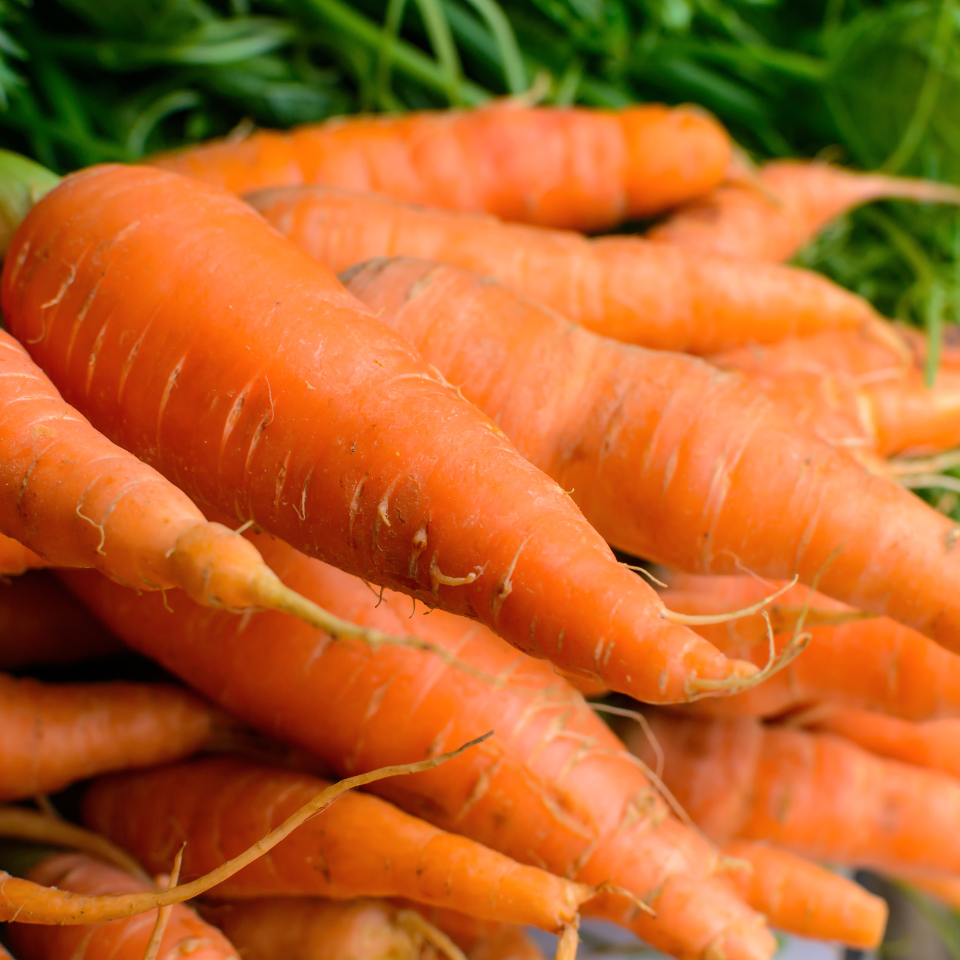 Carrot Vitamin seeds - 30