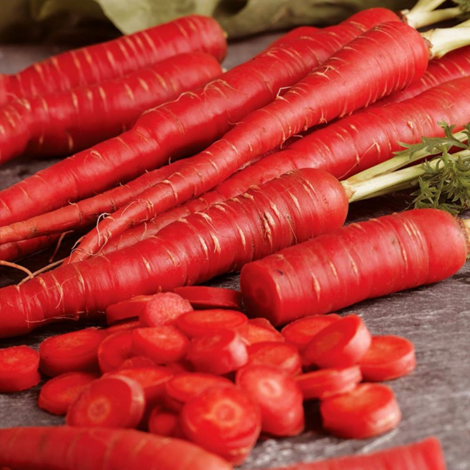 Russian Red carrot seeds - 30