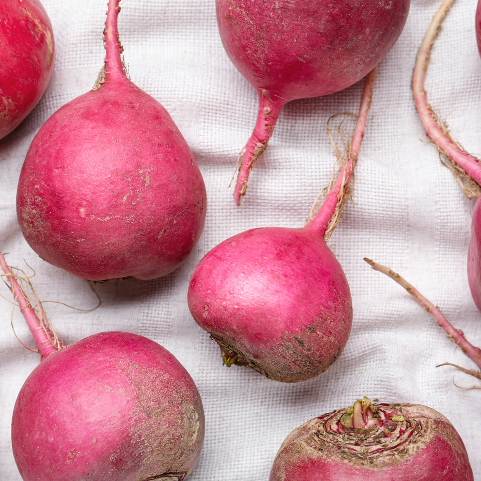 Turnip Red ball, Radish seeds - 30