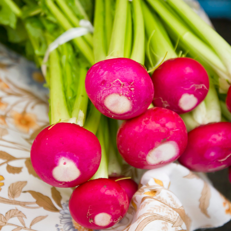 Turnip Red ball, Radish seeds - 30
