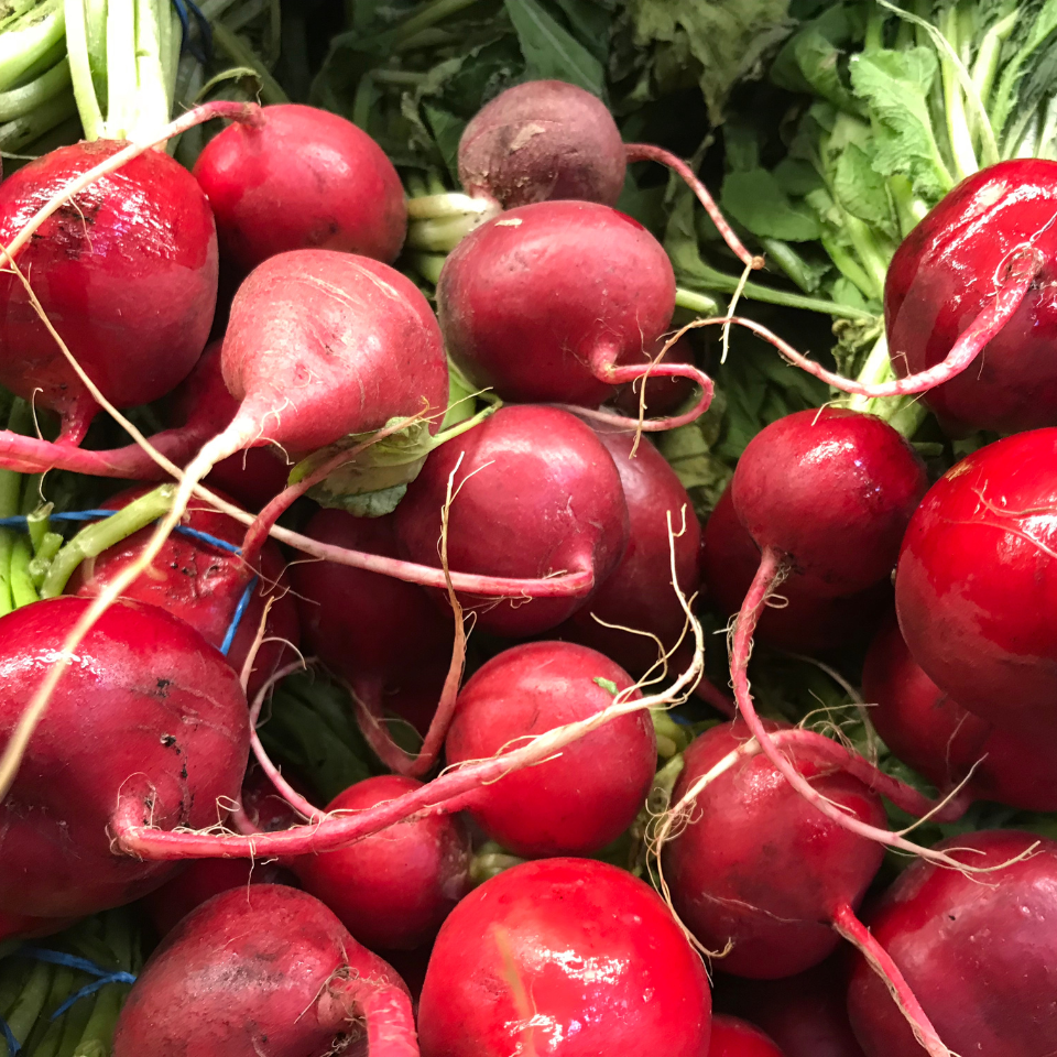 Turnip Red ball, Radish seeds - 30