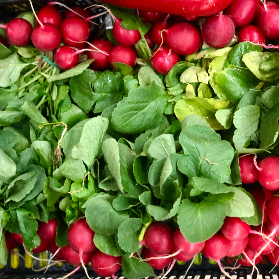 Turnip Red ball, Radish seeds - 30