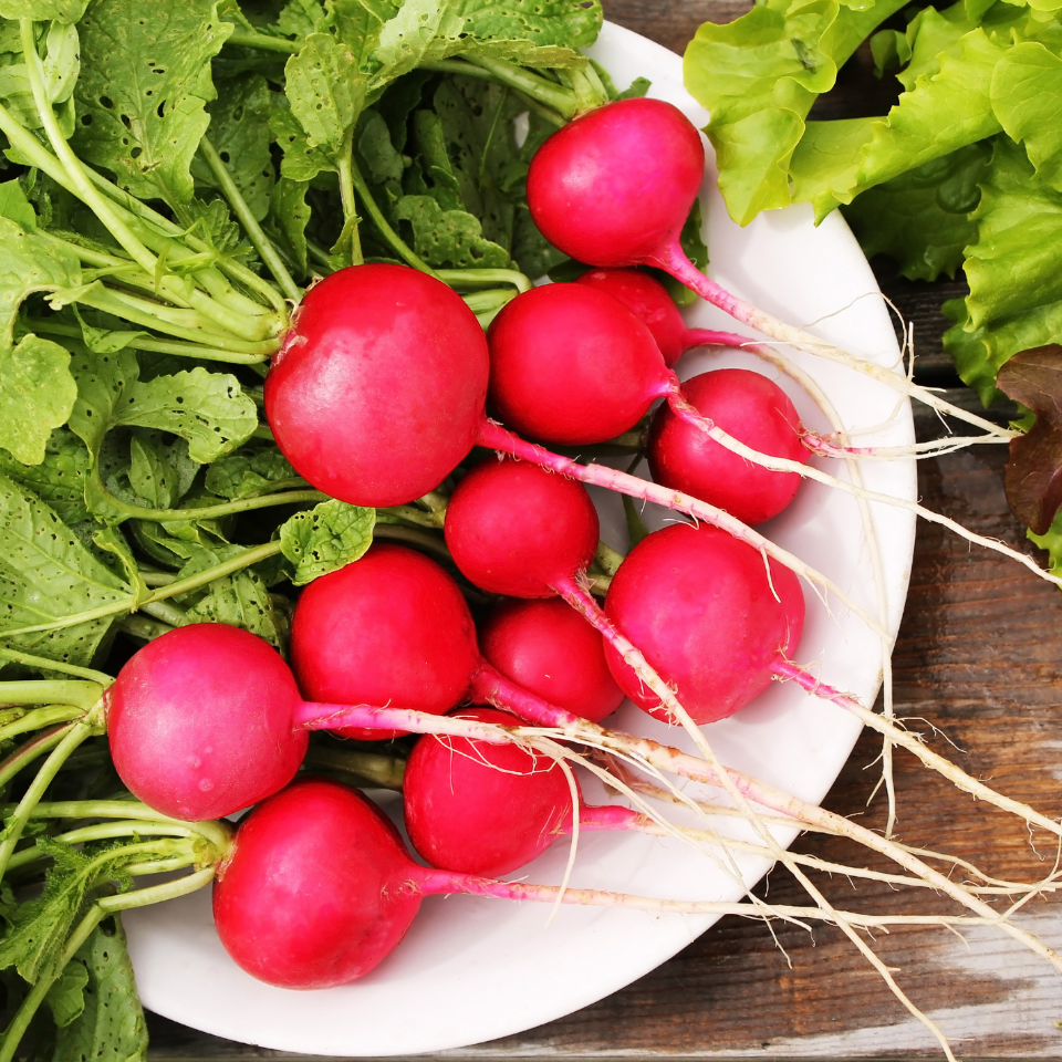 Turnip Red ball, Radish seeds - 30