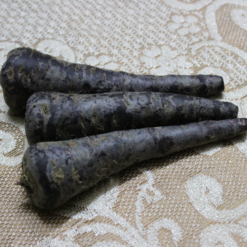 Carrot black seeds - 50
