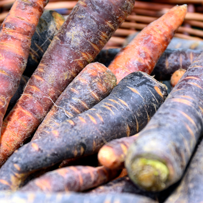 Carrot black seeds - 50