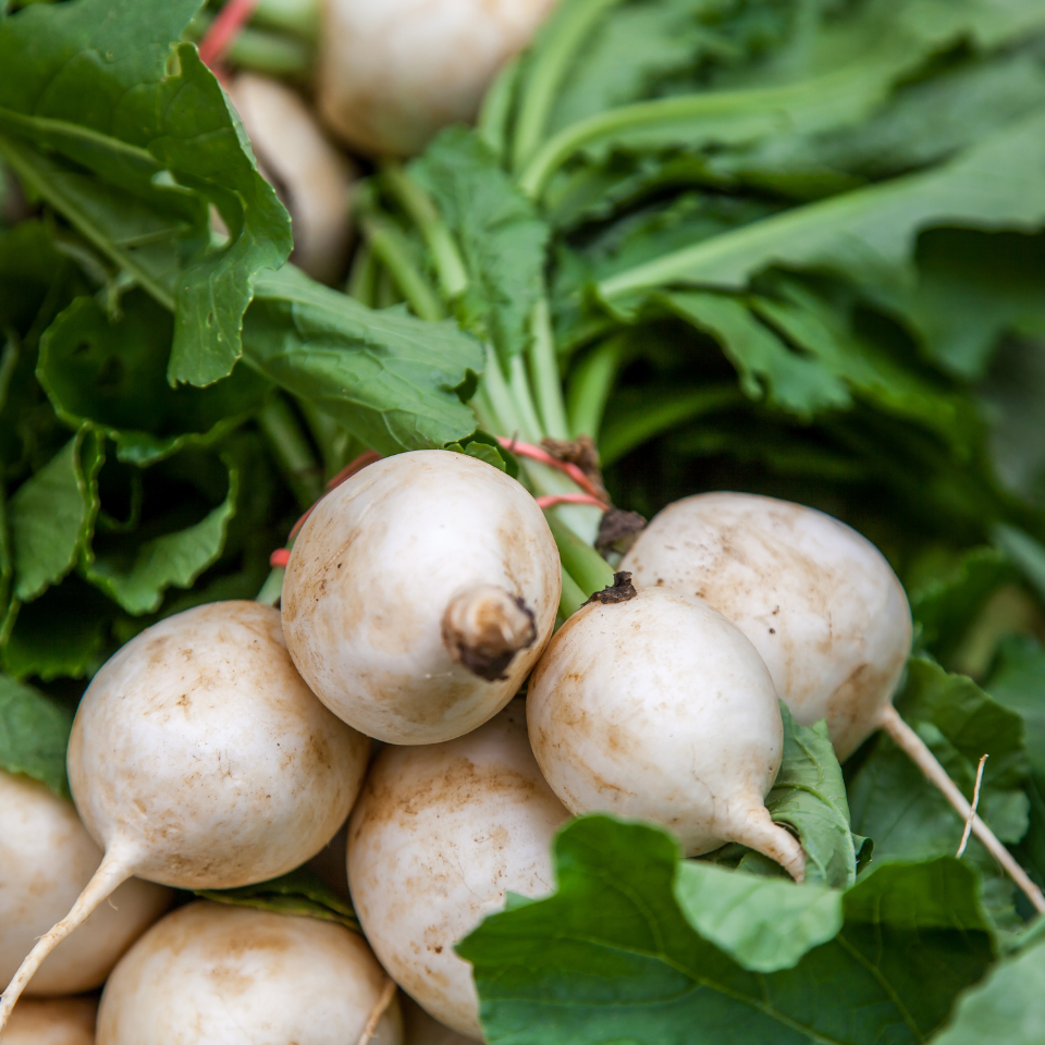 Turnip White Ball seeds - 30