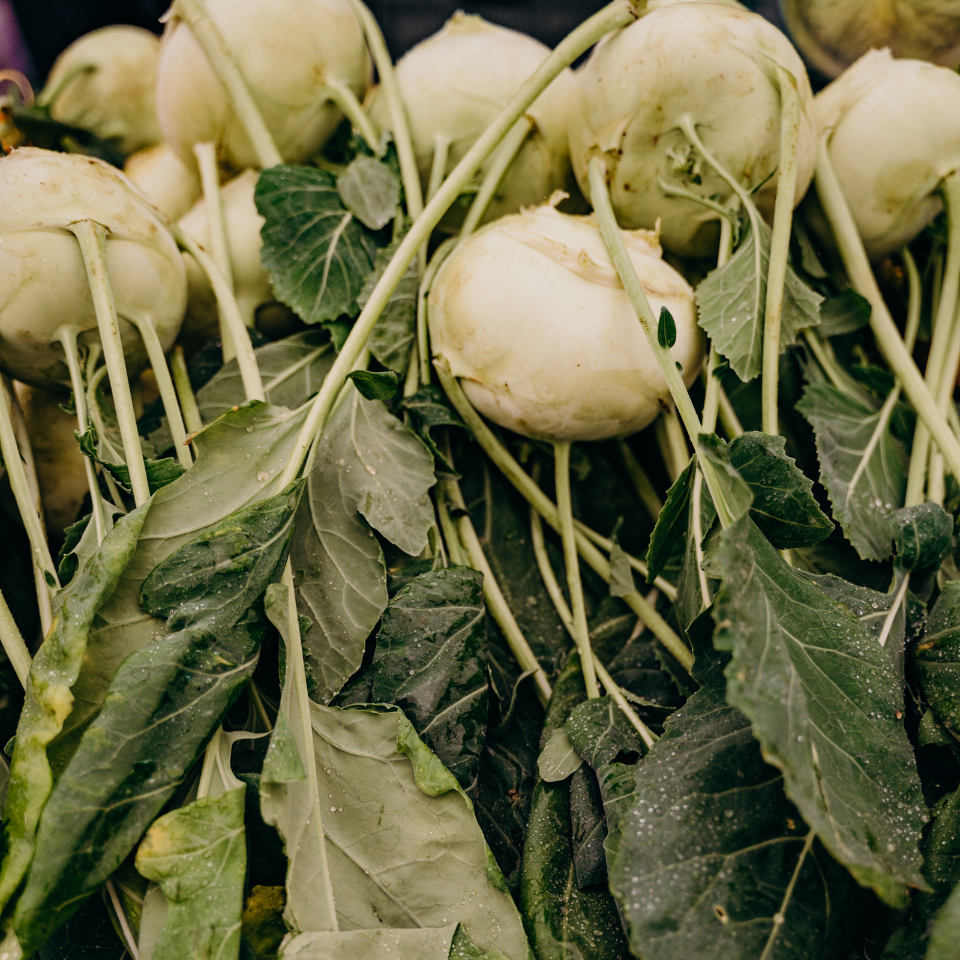 Turnip White Ball seeds - 30