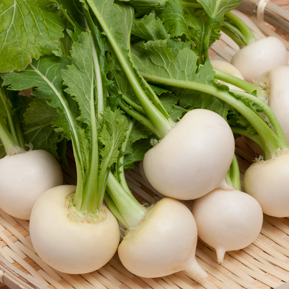 Turnip White Ball seeds - 30