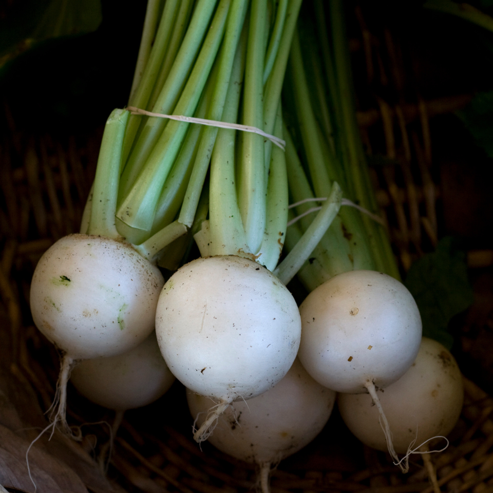 Turnip White Ball seeds - 30
