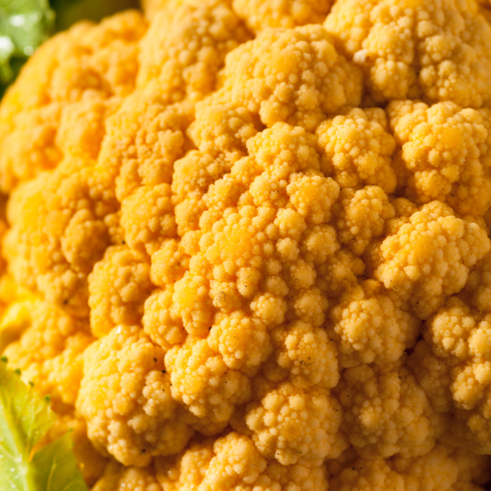 White Cauliflower Golden Hectare seeds - 30