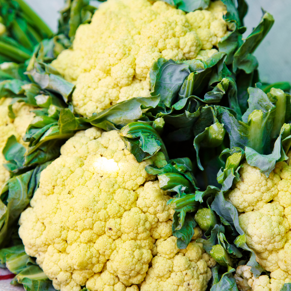 White Cauliflower Golden Hectare seeds - 30