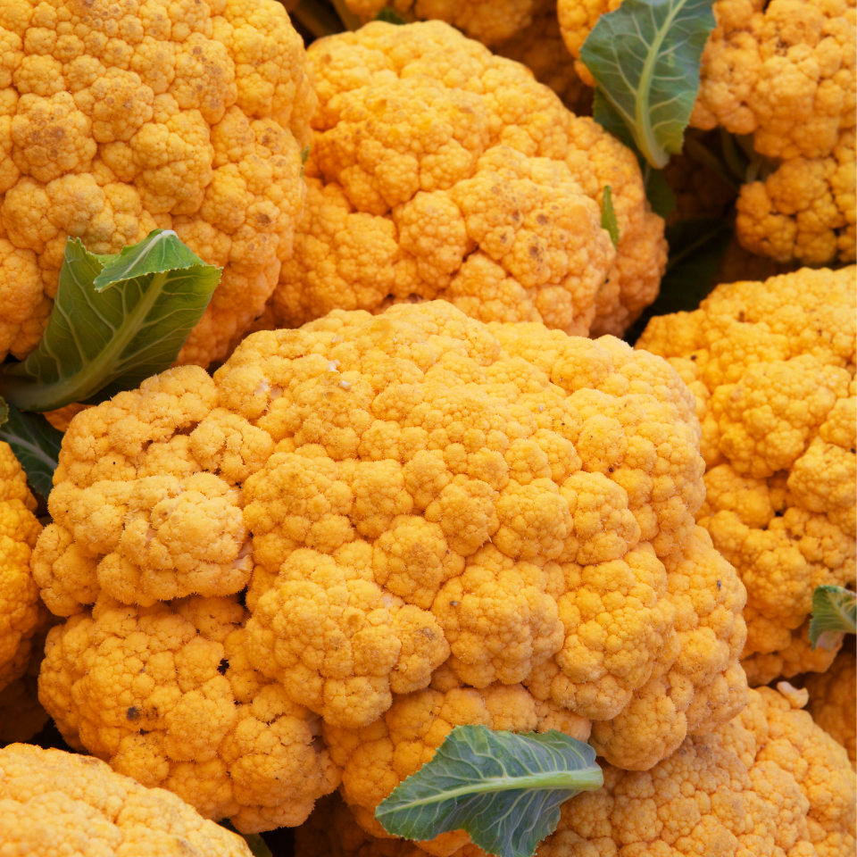 White Cauliflower Golden Hectare seeds - 30