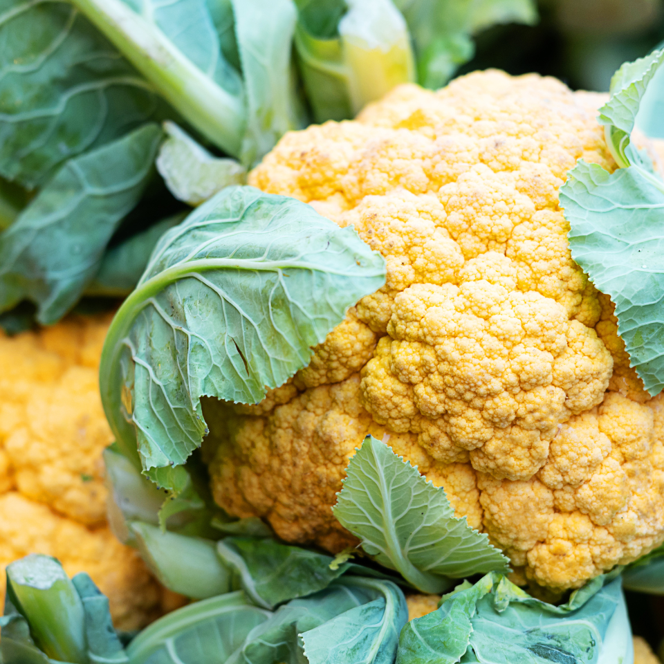 White Cauliflower Golden Hectare seeds - 30