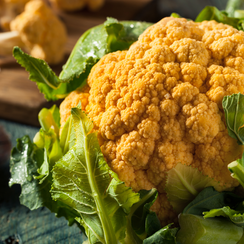 White Cauliflower Golden Hectare seeds - 30