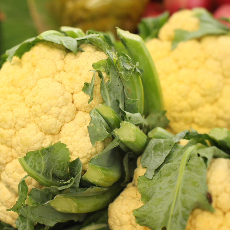 White Cauliflower Golden Hectare seeds - 30