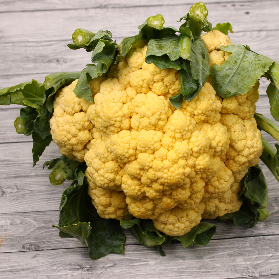White Cauliflower Golden Hectare seeds - 30