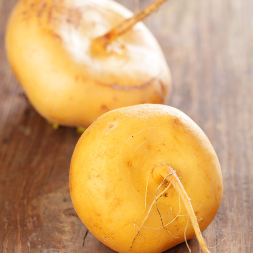 Russian Golden Turnip Petr seeds - 30