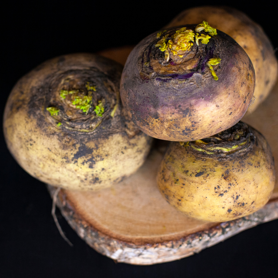 Russian Golden Turnip Petr seeds - 30