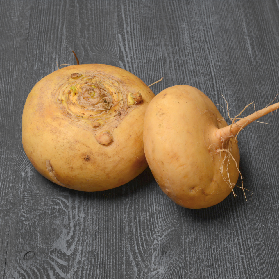 Turnip Golden Ball seeds - 30